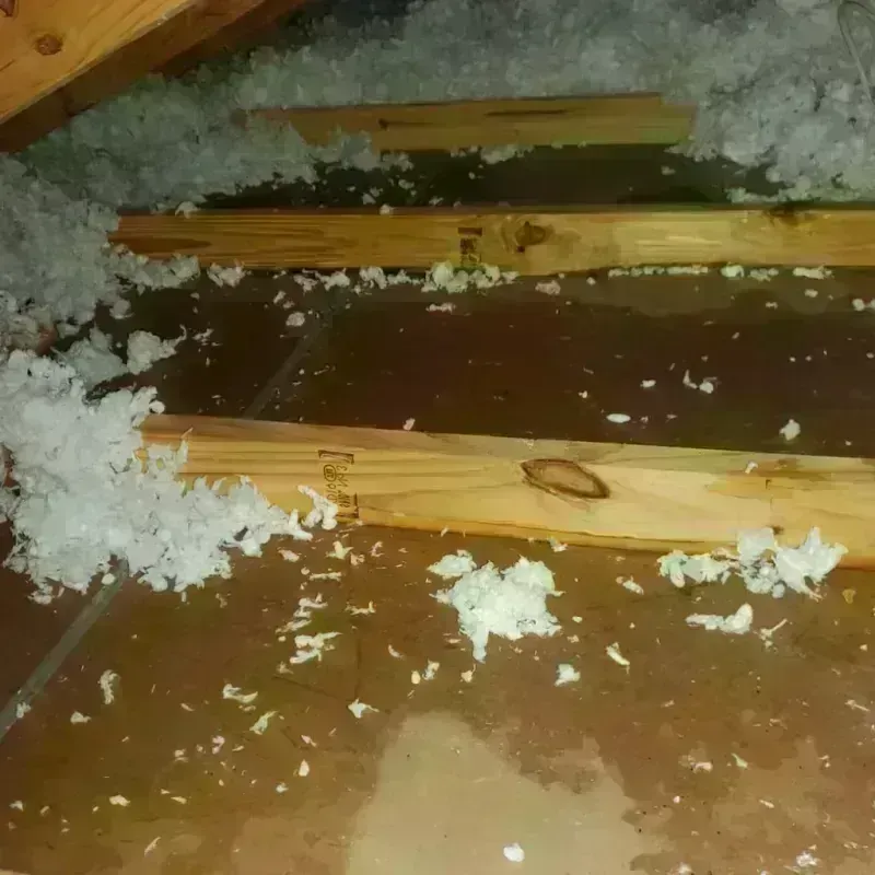 Attic Water Damage in Carrollton, VA