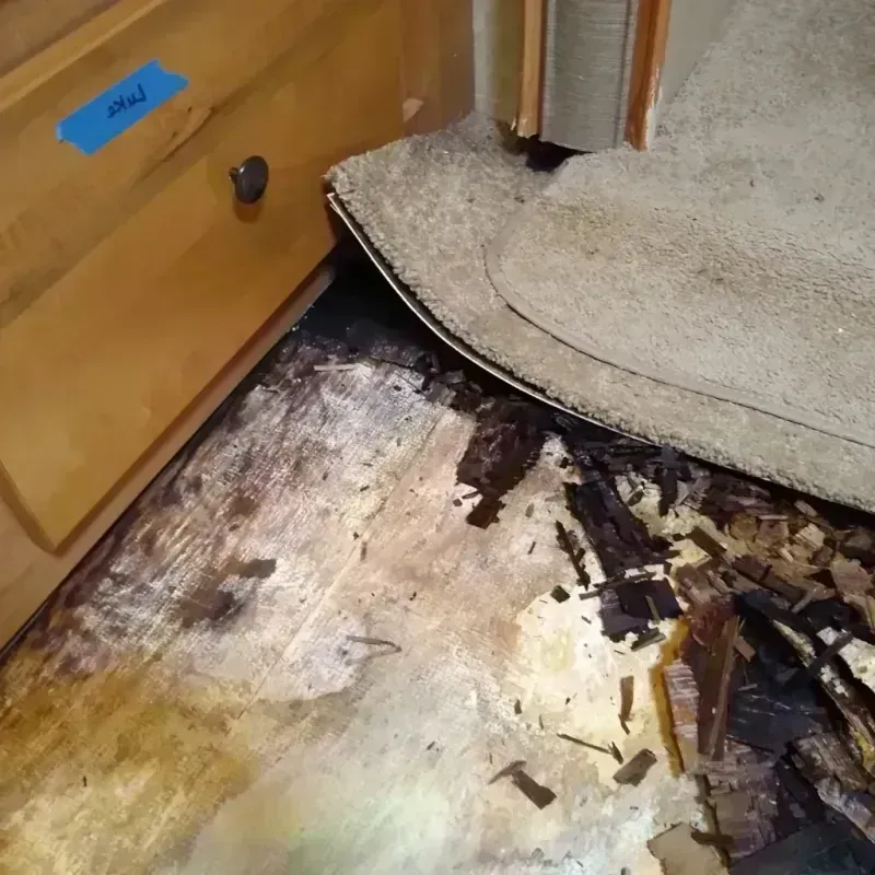 Wood Floor Water Damage in Carrollton, VA